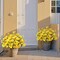 Decor 8 Bundles Artificial Hibiscus Flowers for Outdoors Decoration